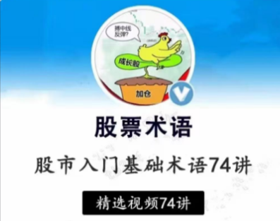 【张一山】炒股基础入门股市基础术语精讲74集