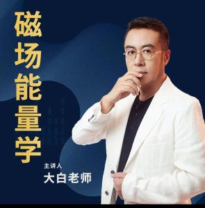 大白老师磁场能量学课程