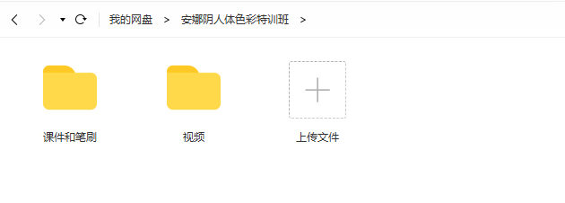 安娜阴人体色彩特训班【画质高清有笔刷课件】