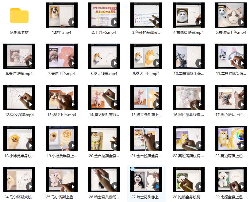 2022122715534082619 艺琳2022零基础ipad宠物绘画课【画质高清有笔刷素材】