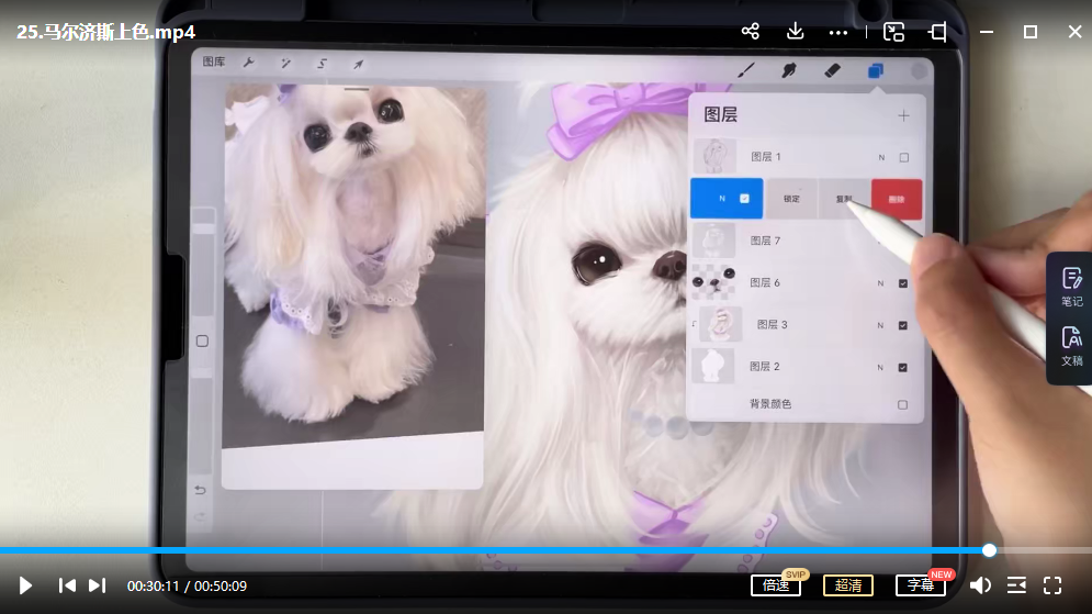 2022122715543960371 艺琳2022零基础ipad宠物绘画课【画质高清有笔刷素材】