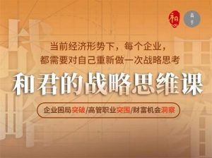 高手知路-和君的战略思维课
