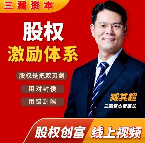 cb8d73281d4ed33745a4f99e825bfb0d 臧其超:股权激励体系(爆款视频课)