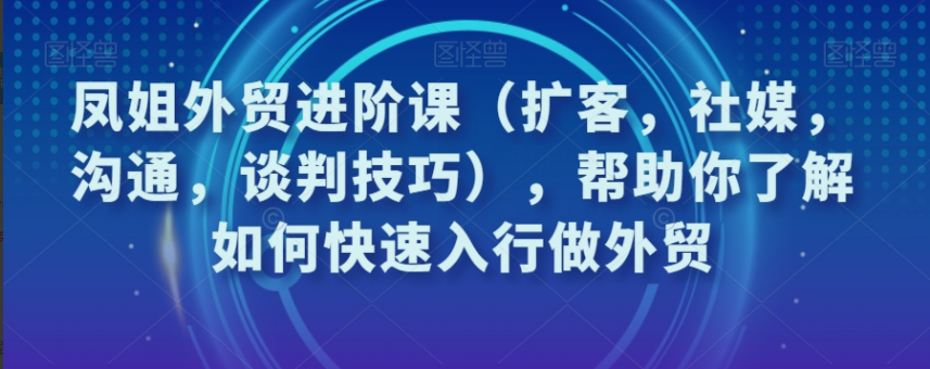 94ee7184e2dcc68dc46990daf077c329 凤姐外贸进阶课(扩客,社媒,沟通,谈判技巧),帮助你了解如何快速入行做外贸