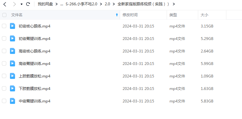 2024小李不吃2.0全体系塑性课程