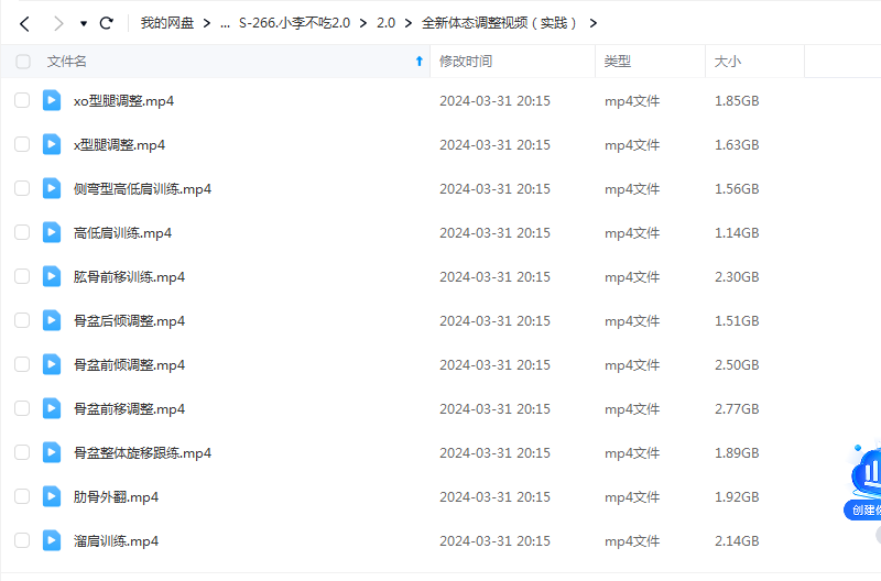 2024小李不吃2.0全体系塑性课程