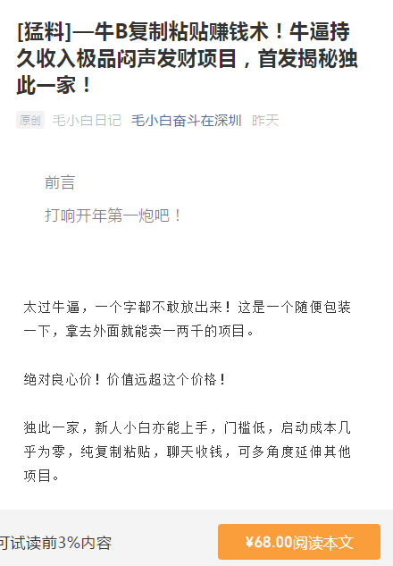 毛小毛—牛B复制粘贴赚钱术！【付费文章】