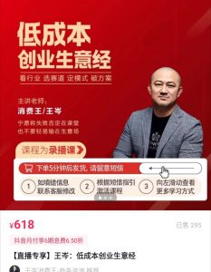 王岑:低成本创业生意经