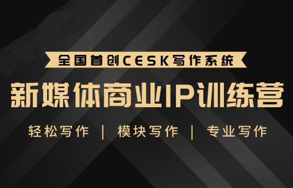 18084017654 升职计·新媒体商业IP训练营课程视频