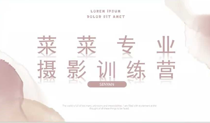 菜菜手作专业摄影训练营2025，手作摄影的艺术之旅