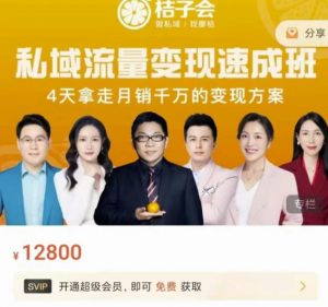 桔子会私域流量变现速成班,价值12800元