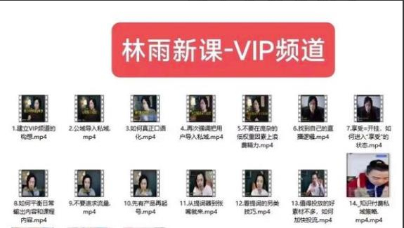 林雨新课VIP频道，玩赚私域/朋友圈/社群