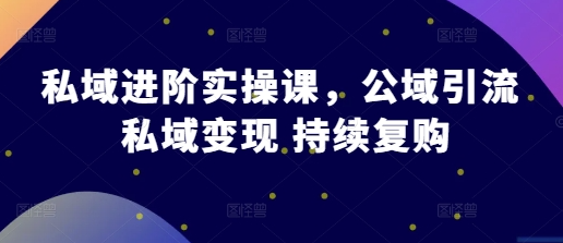 私域进阶实操课，公域引流 私域变现 持续复购-郑鹏飞-飞哥电商