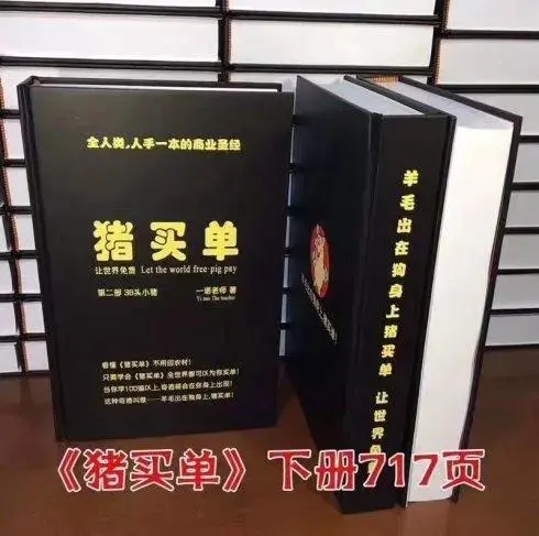 一诺老师《猪买单》pdf电子书