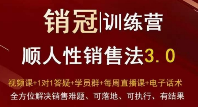 大雄销冠训练营3.0之顺人性销售法，全方位解决销售难题、可落地、可执行、有结果