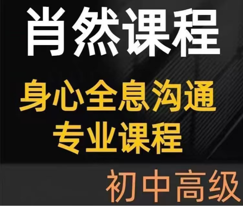 肖全然身心沟通专业课程初中高级
