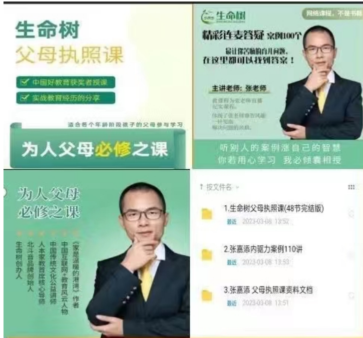 张嘉添老师生命树父母执照课合集+内驱力案例110讲