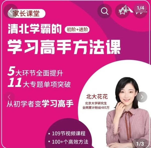 北大花花-学习高手方法课（初阶+进阶）139节课