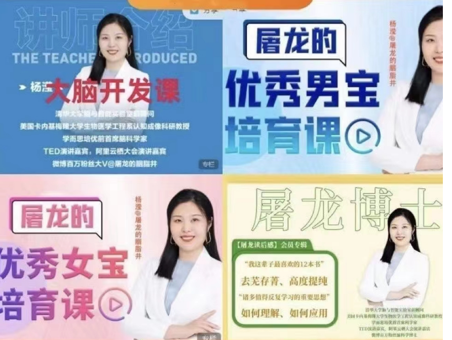 屠龙的胭脂井教育课程全套