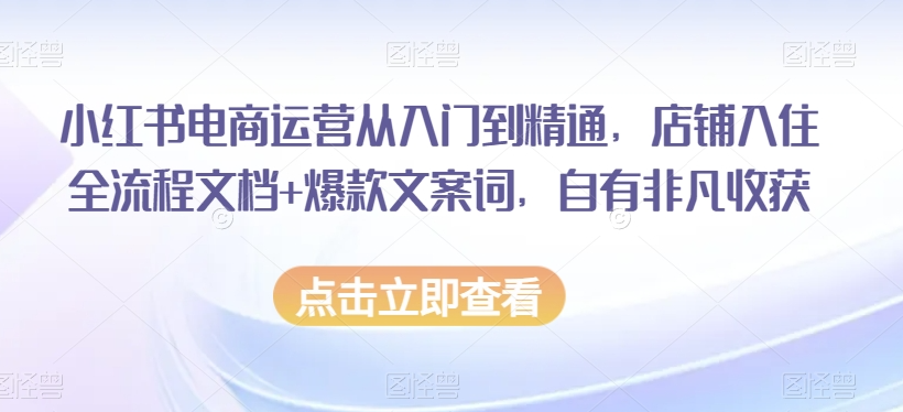 小红书电商运营从入门到精通，店铺入住全流程文档+爆款文案词，自有非凡收获