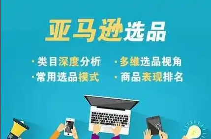 阿甘2025年亚马逊跨境电商选品案例，跨境电商利基选品
