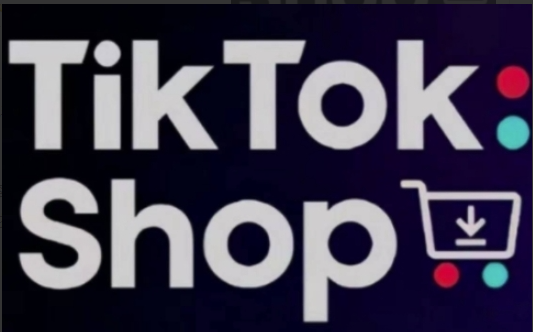 eric老师·TikTokShop跨境电商0-1实战，手把手教你低成本启动海外市场