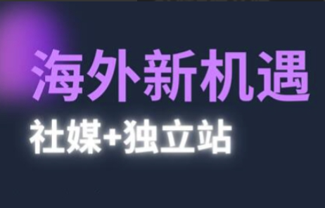 棕榈·2025出海新机遇(社媒+独立站)，海外新机遇，实现独立站的高效运营与出海