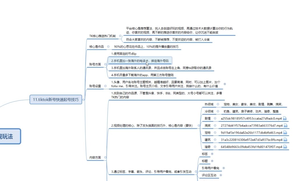 鲸叹号·海外TIKTOK训练营课程