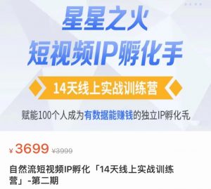瑶瑶·自然流短视频IP孵化第二期，14天线上实战训练营，赋能100个人成为有数据能赚钱的独立IP孵化手