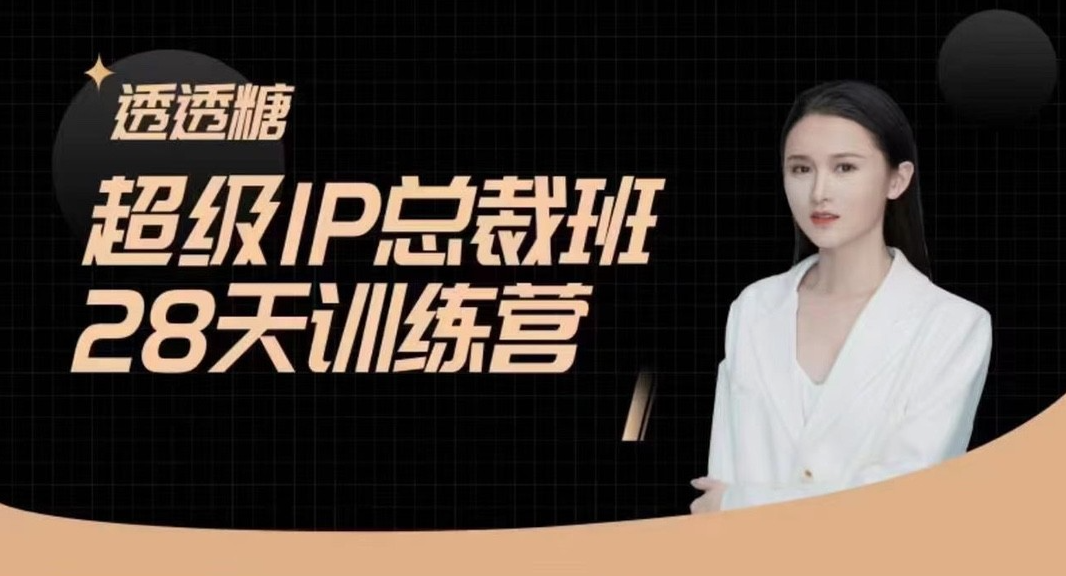 透透糖·超级IP总裁班28天训练营，新媒体高效获取能变现的精准流量