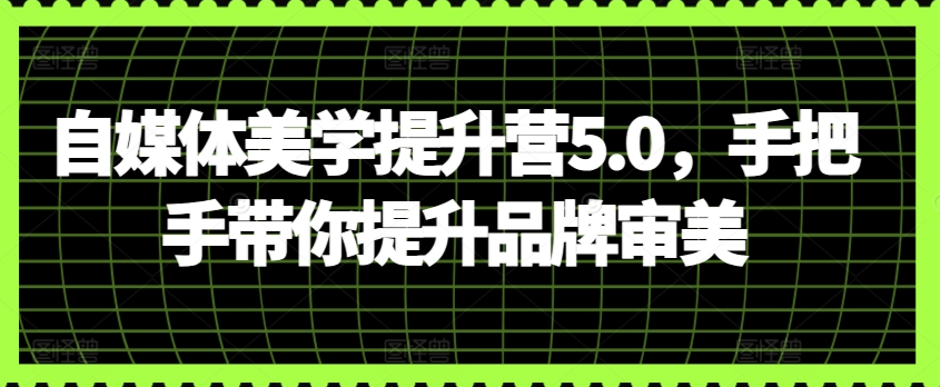 自媒体美学提升营5.0，手把手带你提升品牌审美
