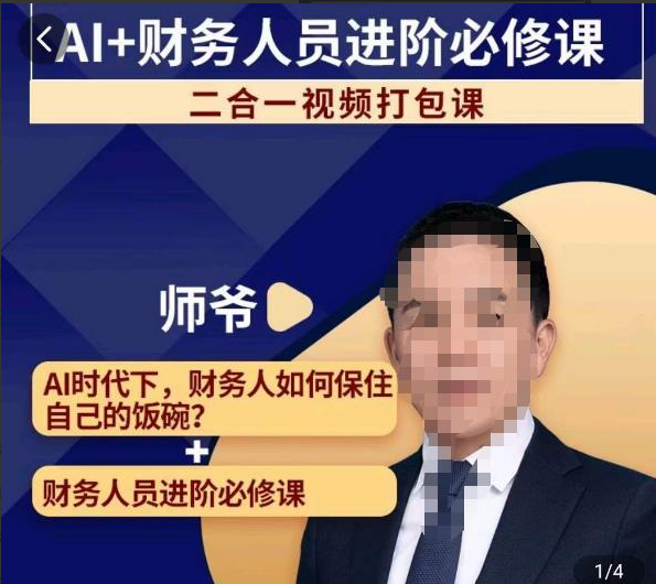 d00e89614267e66f25d73592e28ac00d 师爷AI+财务人员进阶必修课二合一视频打包课,财务人员进阶必修课
