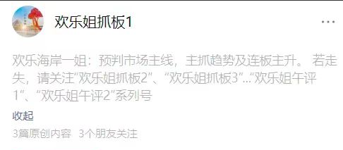 【欢乐姐抓板】超短打板技法圈内体系课件 11文档