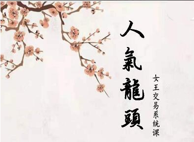 短線女王人氣女王人氣龍頭基礎視頻課程
