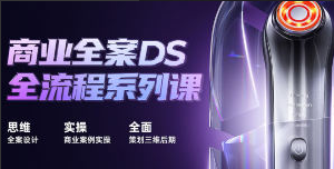 巧匠商业全案DS全流程系列课