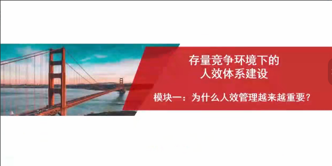 竞争环境下的人效体系建设与落地