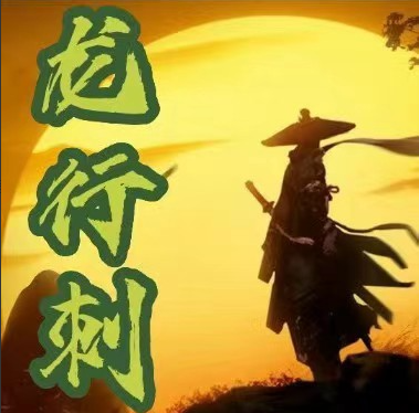 【龙行刺-水无形】龙空龙 龙家军2025教学视频课程