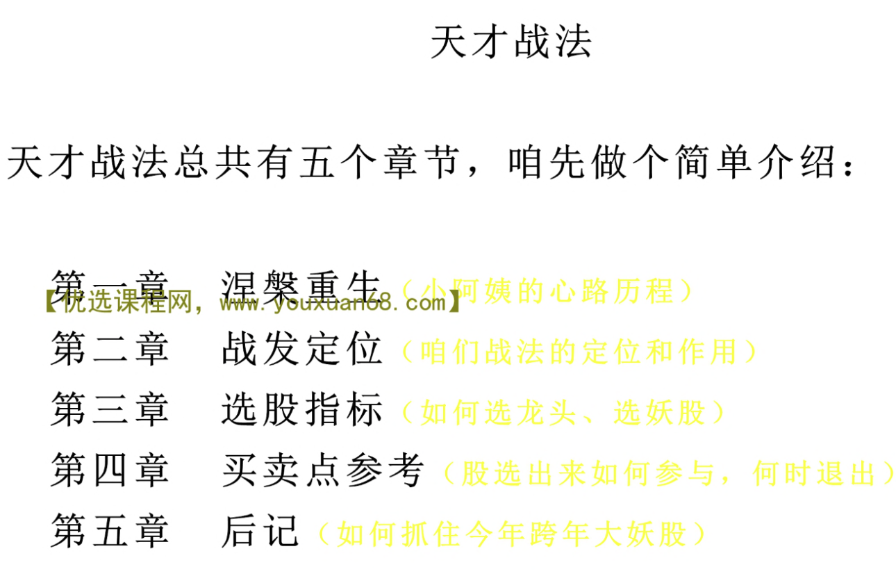 天才小阿姨，天才战法 1文档