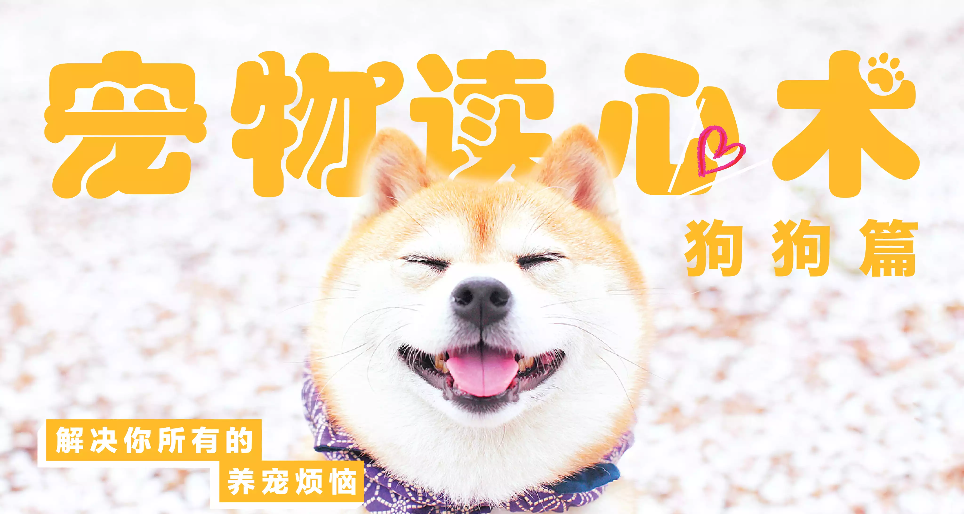 宠物读心术：解决你的养狗烦恼课程音频