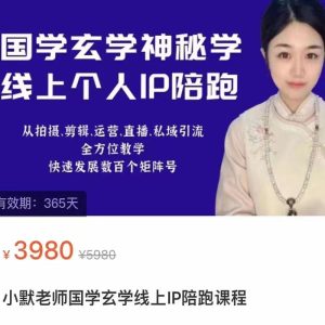 小默国学玄学线上IP陪跑课程，从拍摄、剪辑、运营、直播、私域引流等全方位教学，快速发展数百个矩阵号
