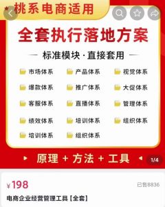 电商企业经营管理工具：全套执行落地方案标准模块·直接套用