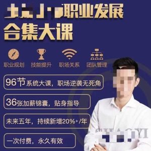 少毅老师职业发展合集大课
