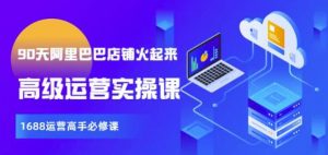 【90天阿里巴巴店铺火起来】高级运营实操课