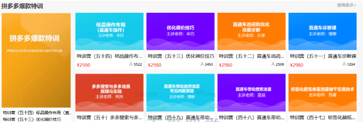 多多大师VIP拼多多运营培训课程