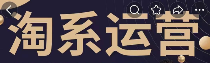 【石头老师】星雪电商私教班2025年淘系电商标准化起店流程私教班