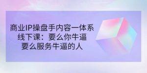 小伟商业IP操盘手线下课，内容很体系值得一学 原价16800