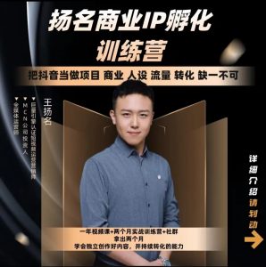 王扬名·商业IP孵化训练营，价值6980