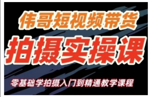 伟哥短视频带货拍摄实操课，零基础学拍摄入门到精通教学