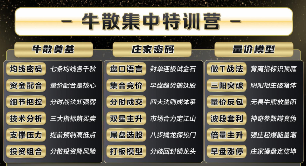 袁博牛散特训营视频+资料+指标