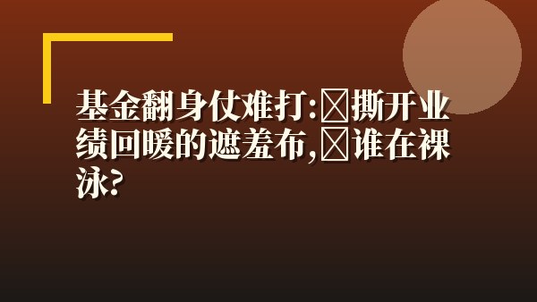 基金翻身仗难打：撕开业绩回暖的遮羞布，谁在裸泳？